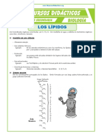 Los Lipidos para Cuarto - Secundaria