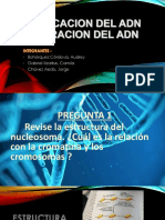 Replicacion Del Adn