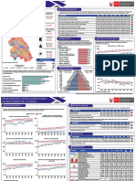 Reporte Regional de Indicadores Sociales Del Departamento de Cajamarca