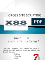 Cross Site Scripting