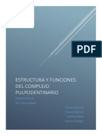 Estructura y Funciones Del Complejo Pulpodentinario