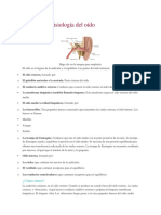 Anatomía y Fisiología Del Oído