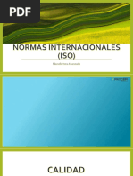 Normas Internacionales (Iso)