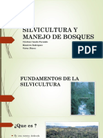 Fundamentos de La Silvicultura