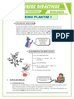 El Reino Plantae Características para Segundo de Secundaria