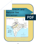 Petroleum and Natural Gas Extraction