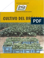 Toledo Cultivo Brocoli