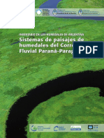 Sistemas de Paisajes de Humedales Del Co PDF