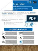 Charla Seguridad Nº05 - Prevención Sobresfuerzos