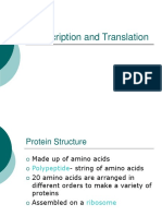 Transcription and Translation