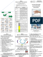 1 Metas Triptico