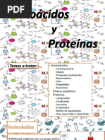 Aminoacidos y Proteinas Powerpoint