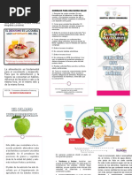 Nutricion Triptico