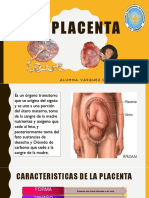 La Placenta