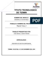 Reporte Visión Sistemática de La Sustentabilidad