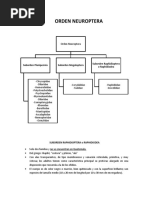 Orden Neuroptera