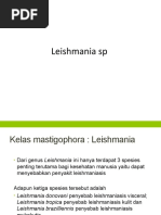 Leishmania SP