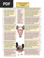 Principios de La Rehabilitación Neuropsicológica