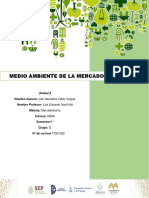 Medio Ambiente de La Mercadotecnia