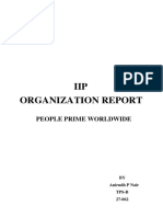 IIP Organization Report (PPW)