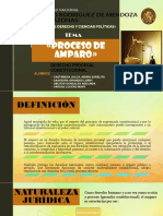 Proceso de Amparo