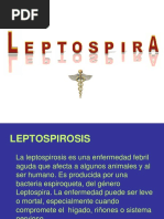 Leptospira