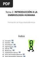 Embriologia Humana