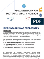 Toxicidad Alimentaria Por Bacterias, Virus y Hongos