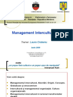 Management Intercultural