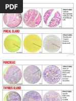 Structures:: - Colloids - Thyroglobulin - Follicular Cells - Parafollicular Cells