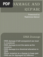 DNA Damage and Repair