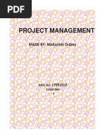 Project Management Maharishi