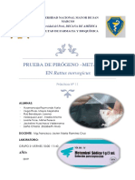 Uso y Manejo de Animales PDF