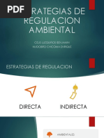 Estrategias de Regulacion Ambiental