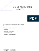 El Juicio de Amparo en Mexico