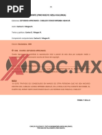 PDF Documento