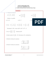 Guia Calculo Diferencial