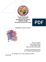 Práctica 7: Ruidos Cardíacos