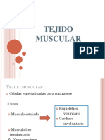 Tejido Muscular