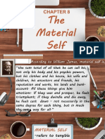 Material Self