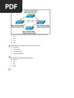 CCNA3 Practice Final Exam 98.1%