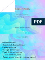 SEMINARIO Psicomotricidad 