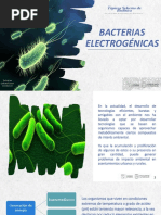 Bacterias Electrogenicas