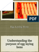 EggLayingHensPres PDF