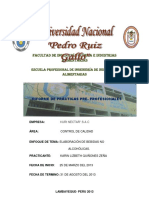 Informe de Practicas - Final