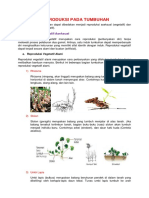 Perkembangbiakan Pada Tumbuhan
