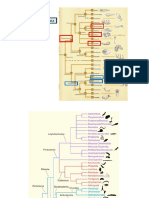 AULA 10 Agronomia 2019 - 2 PDF