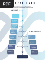 Sales Career Path - 2019 PDF