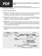 Eukaryotic Transcription Process