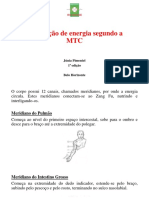 Circulação de Energia Segundo A MTC: Júnia Pimentel 1 Edição